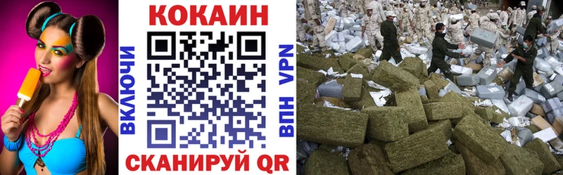 Купить закладки  Кохма  COCAIN 99% 