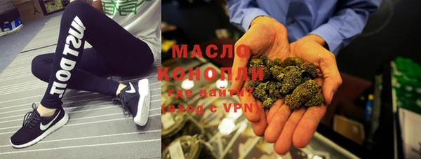 дмт Ельня