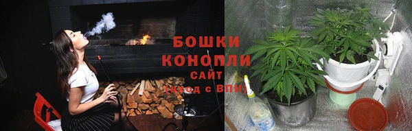 мет Елабуга