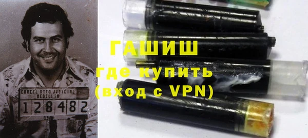 дмт Ельня