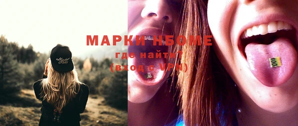 дмт Ельня
