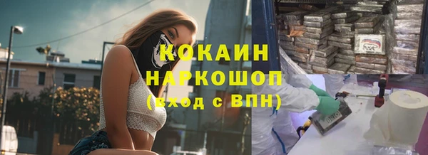дмт Ельня