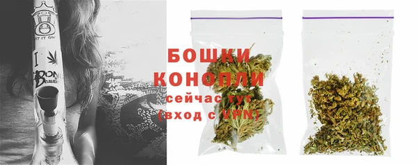 дмт Ельня
