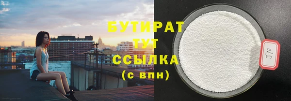 дмт Ельня