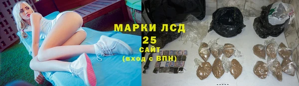 мет Елабуга