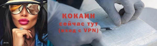 дмт Ельня