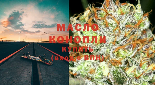 дмт Ельня
