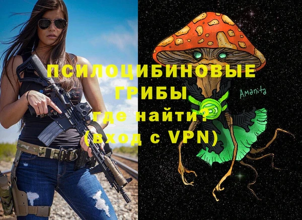 дмт Ельня